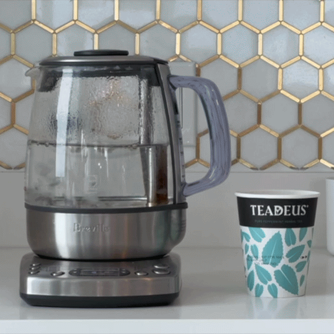 🍵 Welcome to Teadeus: Where Every Sip is a Revolution! 🍵