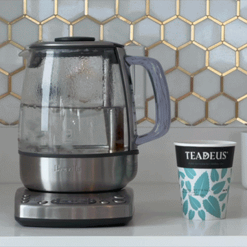 🍵 Welcome to Teadeus: Where Every Sip is a Revolution! 🍵
